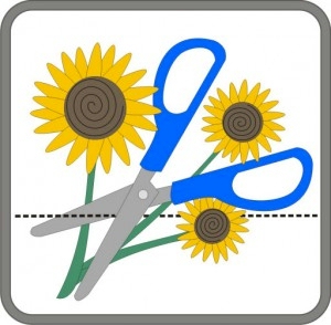 Embrilliance Enthusiast Logo
